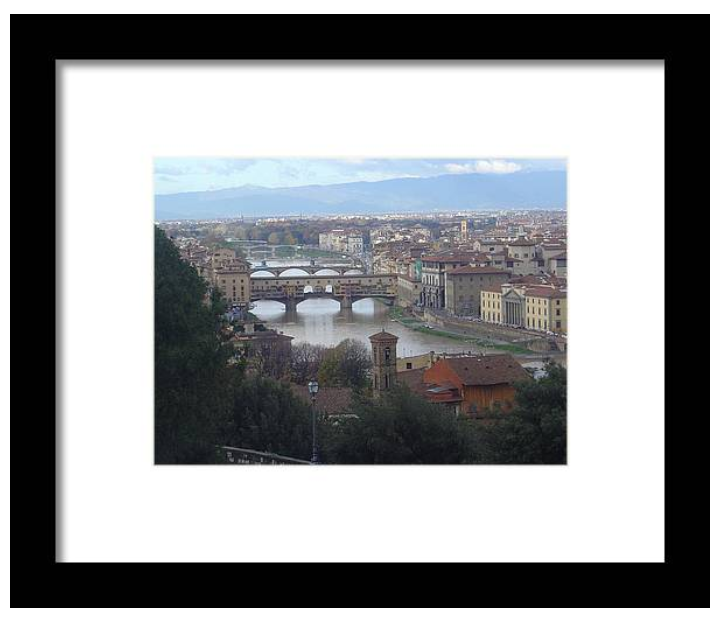 florence L.arno river
